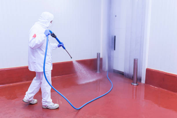 Boat and Dock Cleaning in Fayetteville, AR